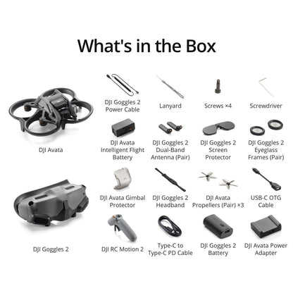 DJI Avata Pro-View Combo with Goggles 2 and Motion Controller with 64GB Bundle